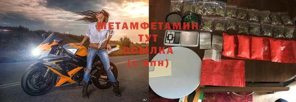 прущие грибы Медногорск
