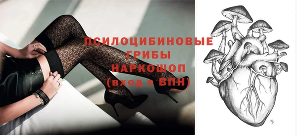 твердый Медвежьегорск