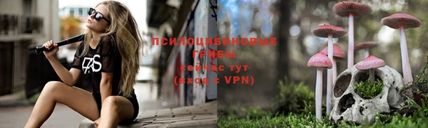 твердый Медвежьегорск