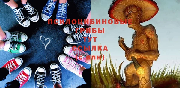 прущие грибы Медногорск