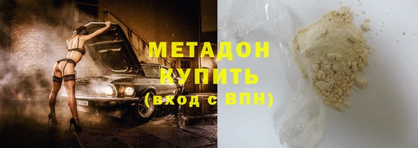 прущие грибы Медногорск