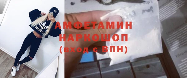 прущие грибы Медногорск