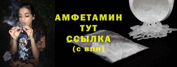 прущие грибы Медногорск