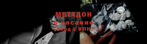прущие грибы Медногорск