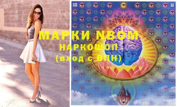 прущие грибы Медногорск