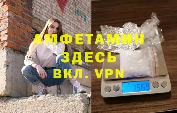 прущие грибы Медногорск