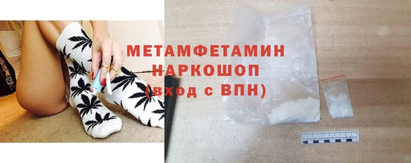 прущие грибы Медногорск