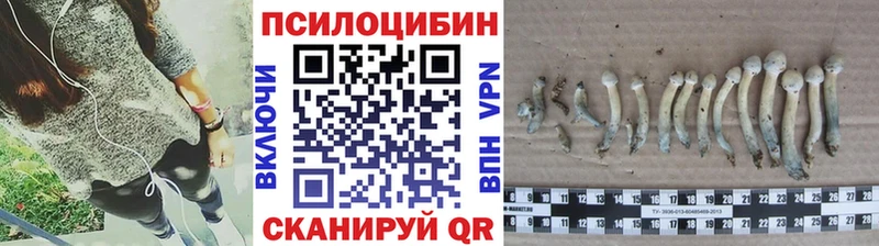 Псилоцибиновые грибы Psilocybe  Данилов 